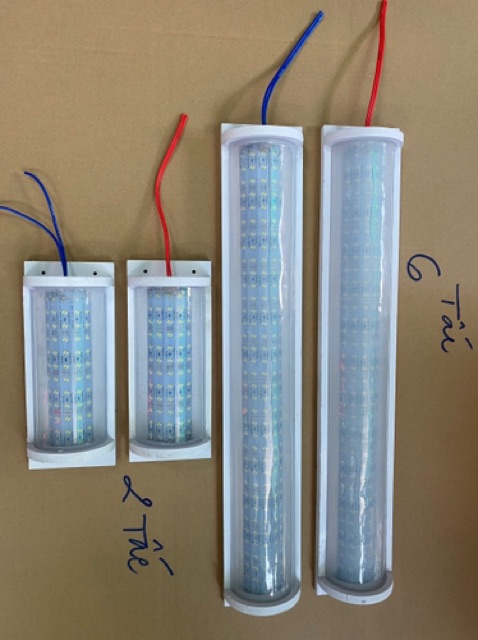 Đèn led  12V/ 24V dài 60cm bán nguyệt