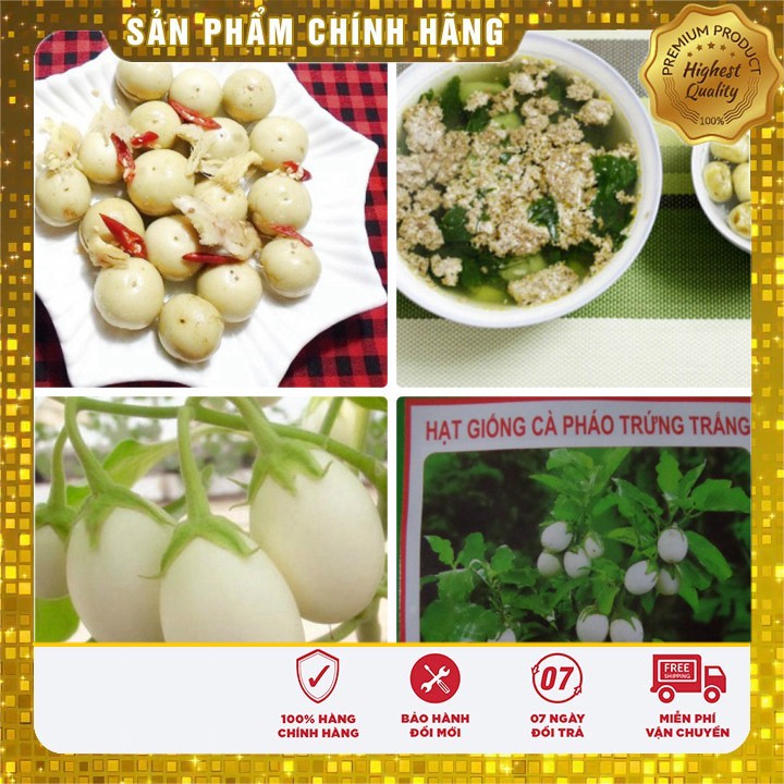 Hạt giống Cà Pháo Trứng Trắng Ngon ( gói 2 gram)