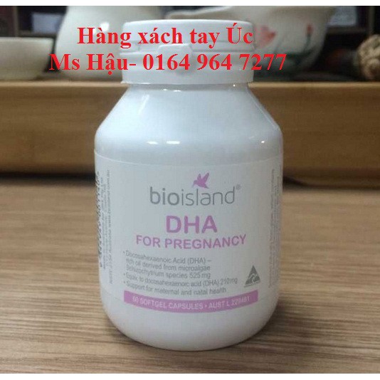 DHA bầu 60v