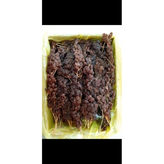 Nho khô nguyên cành Úc hộp 1KG