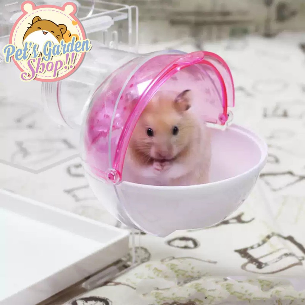 Nhà tắm hình cầu gắn lồng mẫu mới cho hamster