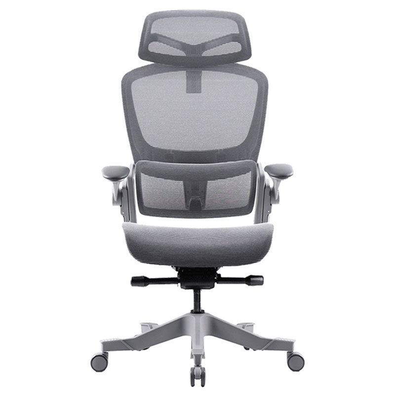 Ghế công thái học ergonomic Epione Easy Chair (All Black / Cool Gray) (Hàng chính hãng)