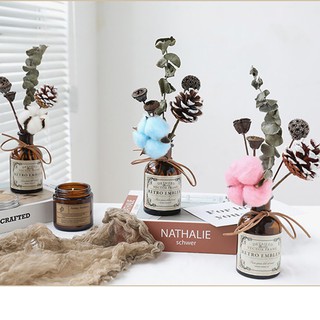 Bình hoa để bàn phong cách Bắc Âu Vintage trang trí phòng ngủ, văn phòng, phụ kiện chụp ảnh - Cam7Studio