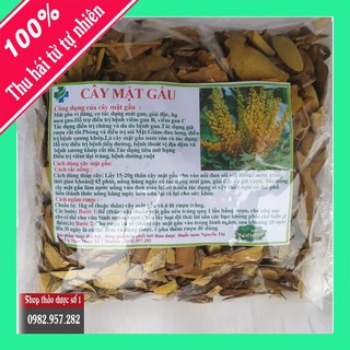 Cây mật gấu bắc điều trị vàng da, viêm gan - 1kg - sp của nam dược nguyễn thi tdso1