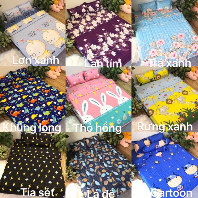 Chăn hè ( mền )cotton poly trần bông 3 lớp, chat chọn mẫu.rẻ nhất tp hcm