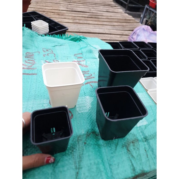 Chậu nhựa vuông dày đẹp 7x7 9x9