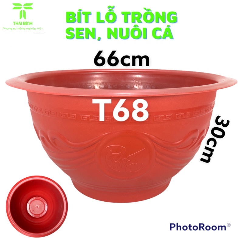 - Chậu Nhựa Thái Bình