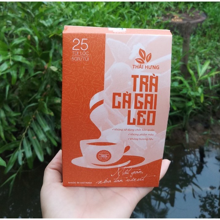 Trà Cà Gai Leo THÁI HƯNG thải độc gan, mát gan, bảo vệ gan, giảm mỡ trong gan - Hộp 25 túi lọc x 5g