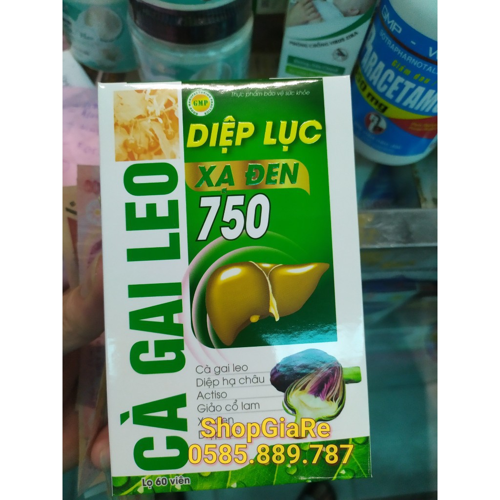 Cà gai leo diệp lục xạ đen 750 giải độc gan, mát gan, hạ men gan, tăng cường chức năng gan