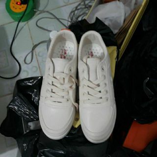 Combo giày thể thao full box