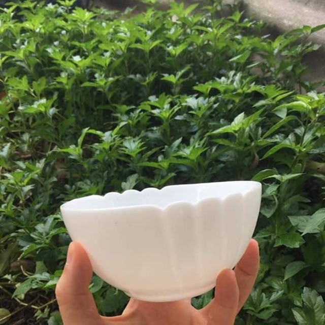 Bộ bát sứ ngọc Luminarc