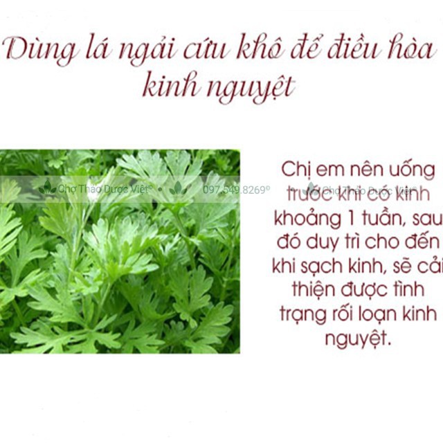Ngải cứu khô, thơm, nguyên lá 500g - Chợ Thảo Dược Việt