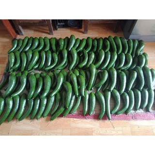 1kg bơ 034 size nhỏ