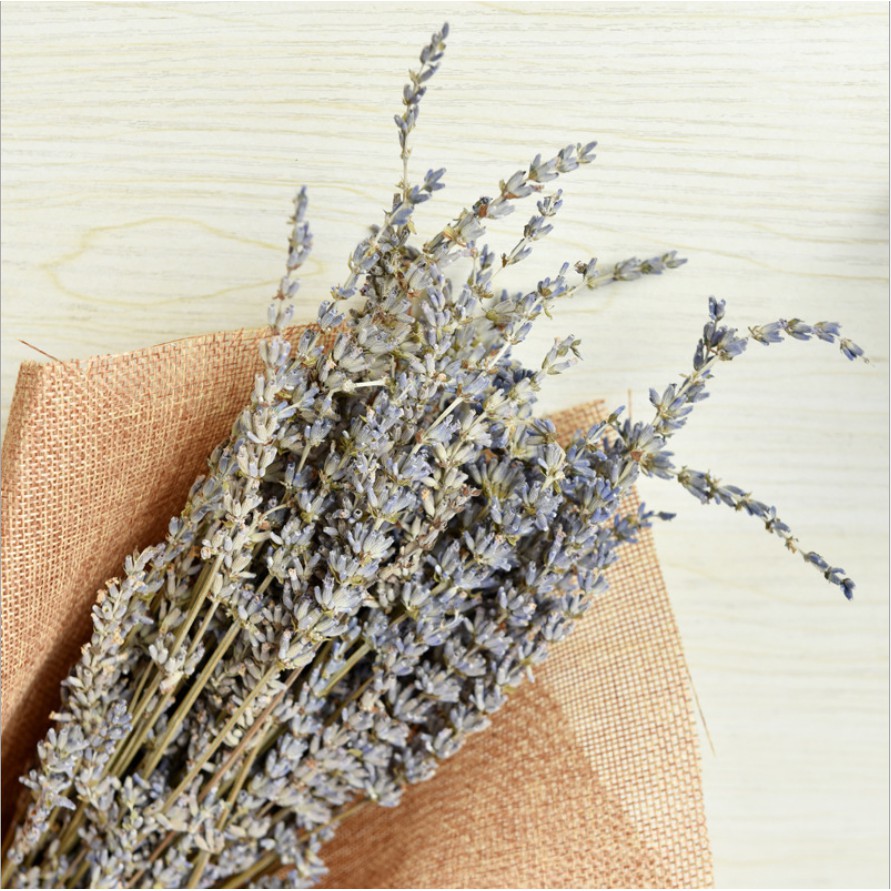 Hoa khô Lavender (Oải Hương) - Decor siêu xinh