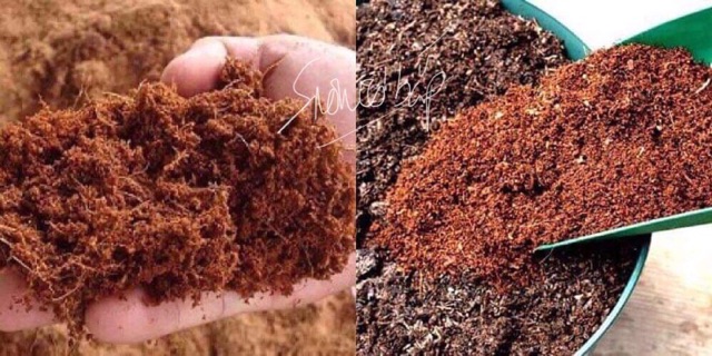 Mùn Cưa 3kg đã qua xử lý giá tại xưởng
