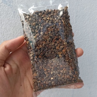 Hạt ba khía trộn thêm thức ăn hamster,sóc cảnh.