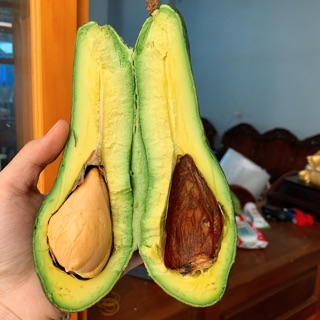 1kg Bơ 034 hữu cơ Lâm Đồng