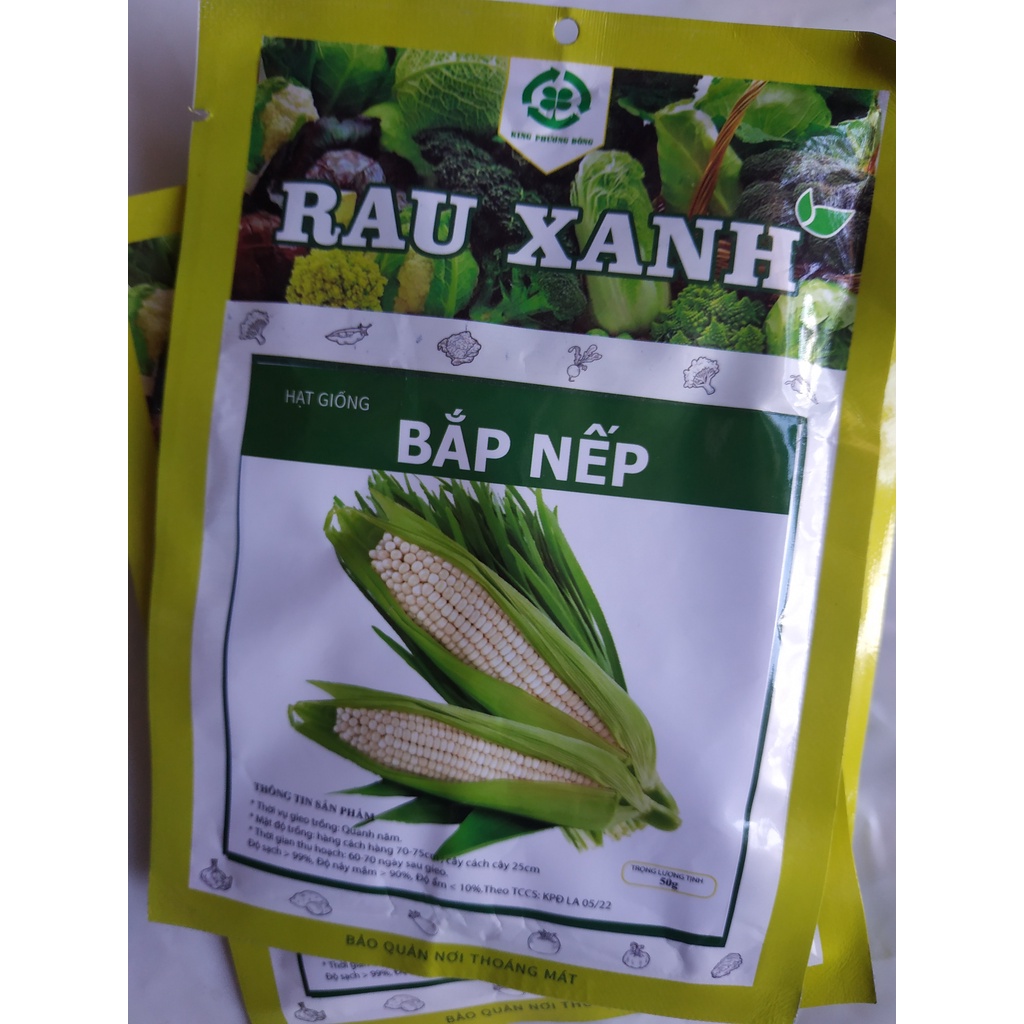 Hạt giống BẮP NẾP - gói 50 gram