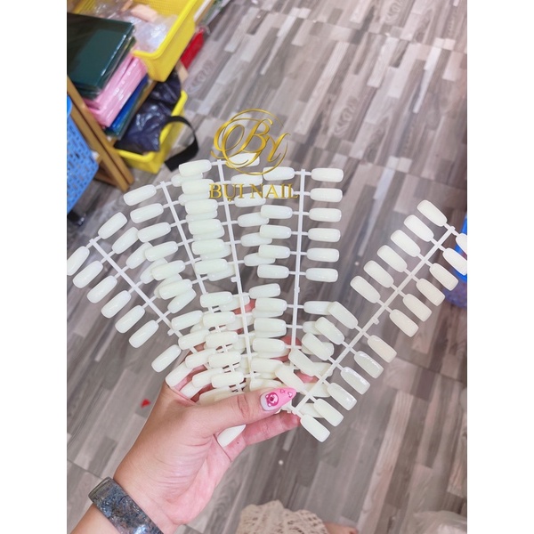 MÓNG GẮN SỔ 120Móng