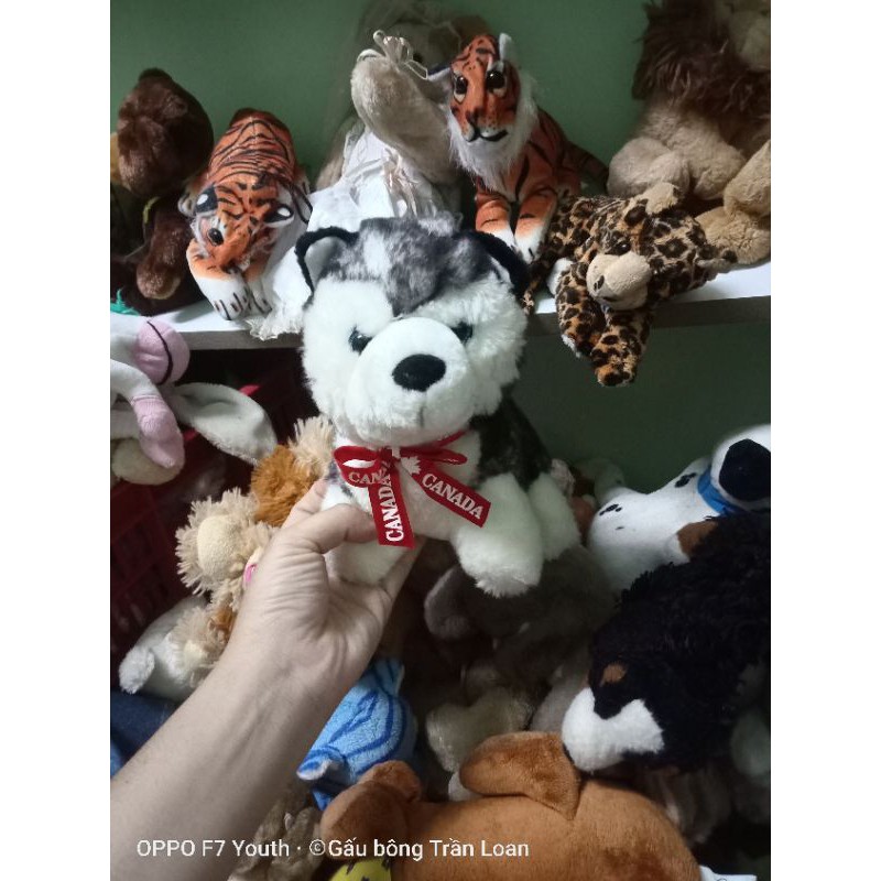 Gấu bông hình chú chó dễ thương