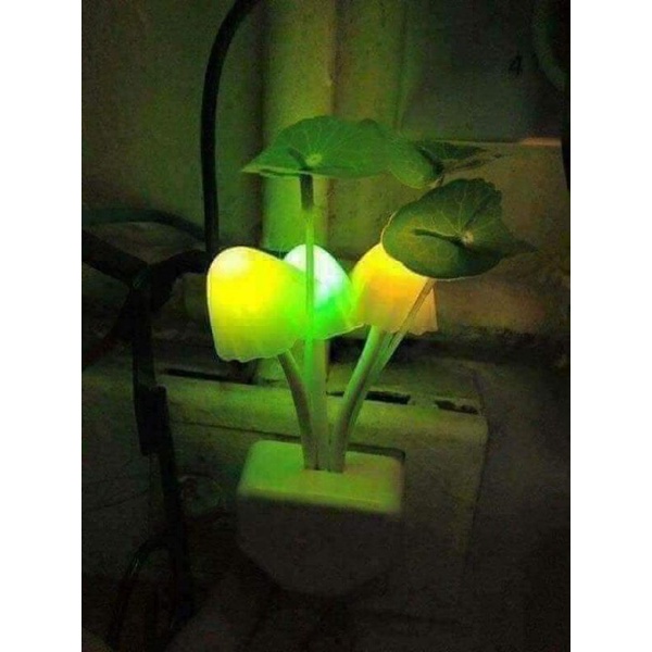 ĐÈN NGỦ NẤM CẢM ỨNG TỰ ĐỘNG SÁNG KHI TRỜI TỐI