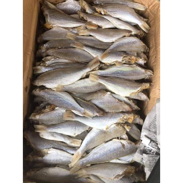 1kg Cá Phèn Hồng khô