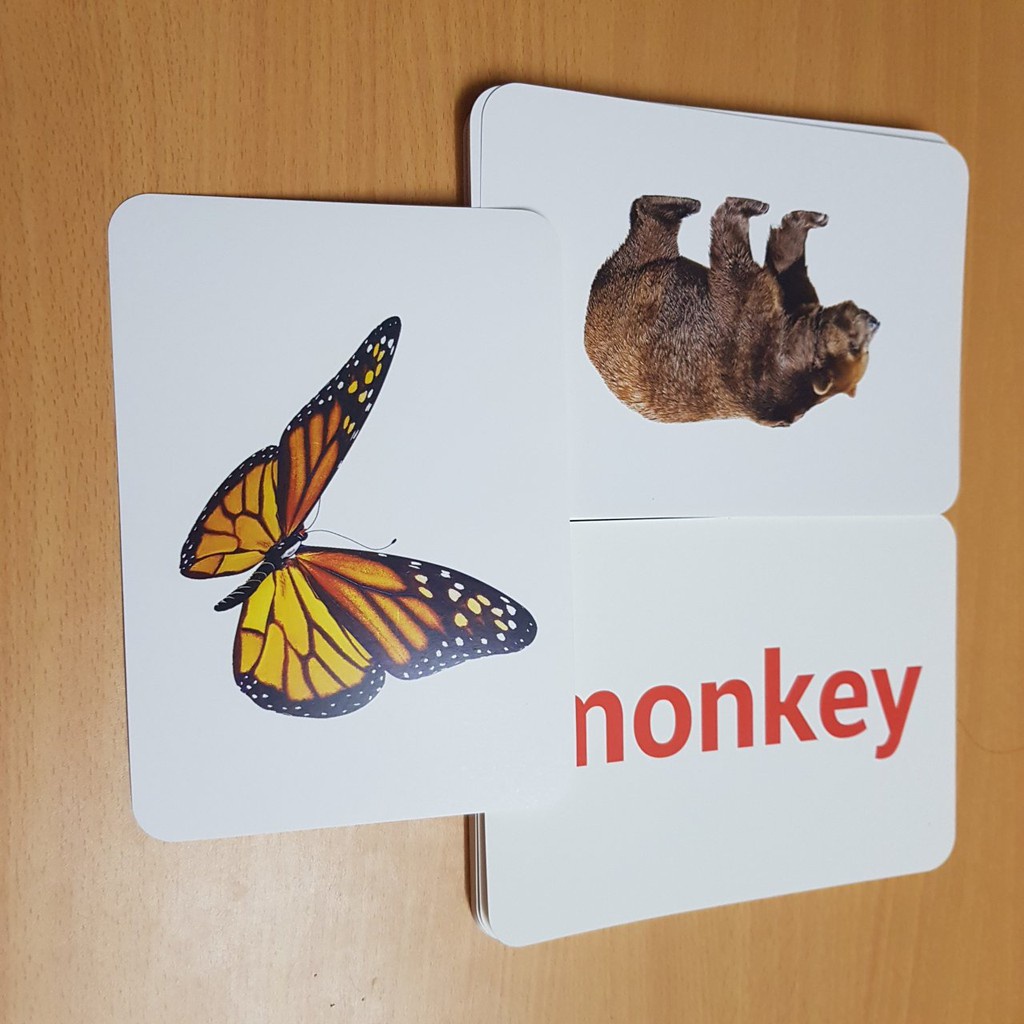 Bộ thẻ học tiếng Anh Flashcard TomcityVN 10 chủ đề giáo dục sớm cho trẻ