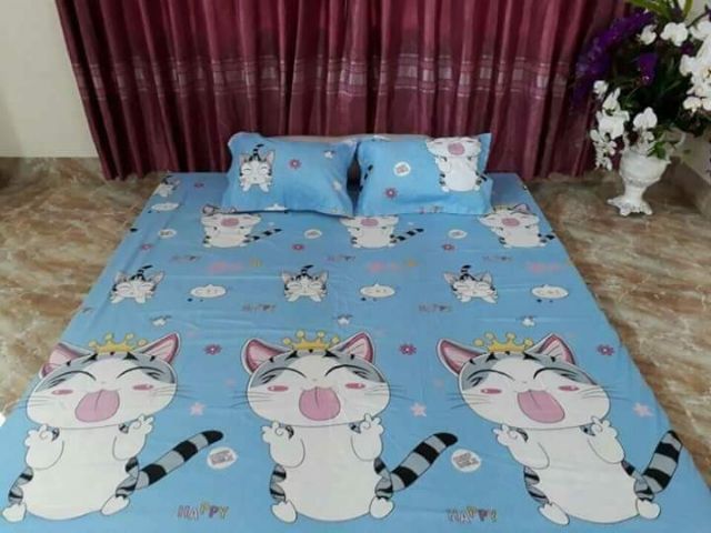 Drap cotton poly han quoc