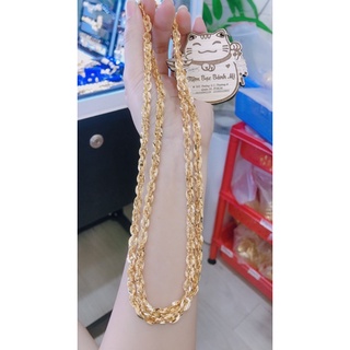 Dây xoắn lá màu vàng miền tây