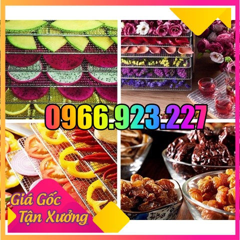 Máy sấy thực phẩm 16 khay - Tủ sấy hoa quả 16 tầng