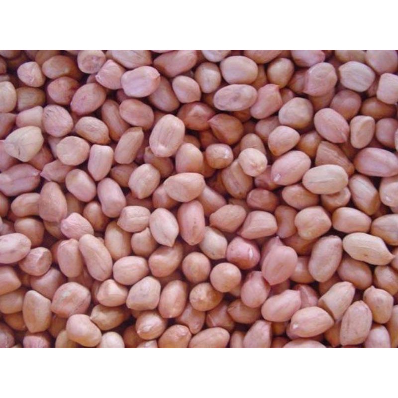 1kg đậu phộng sống bóc vỏ