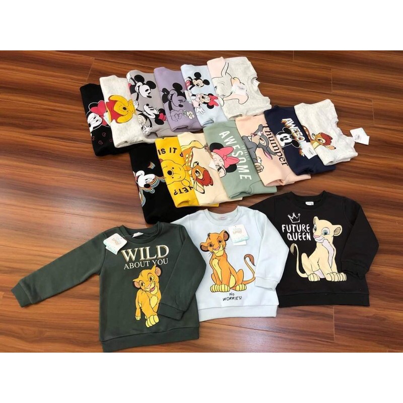 Áo nỉ bông Disey dư xịn