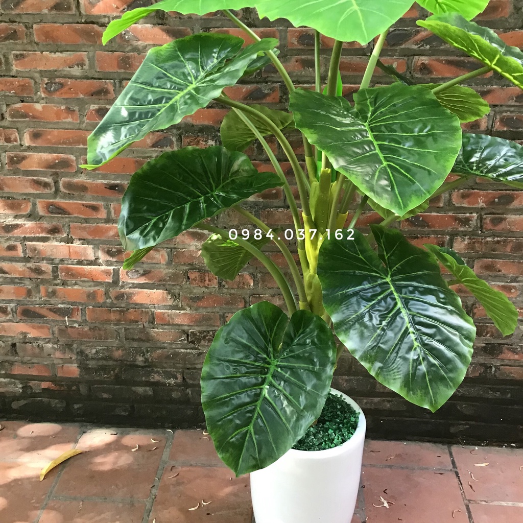 Cây Giả Trang Trí Văn Phòng - Cây Giả Siêu To Giá Rẻ