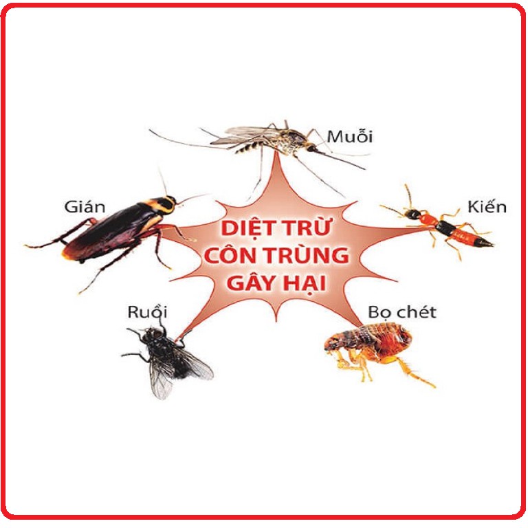 XỊT MUỖI DIỆT CÔN TRÙNG SỐ 9
