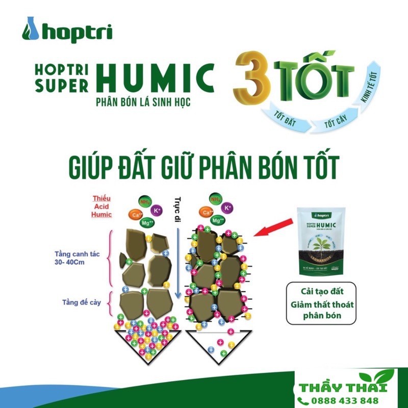 Humic hợp trí - phân bón super humic hợp trí  dạng bột