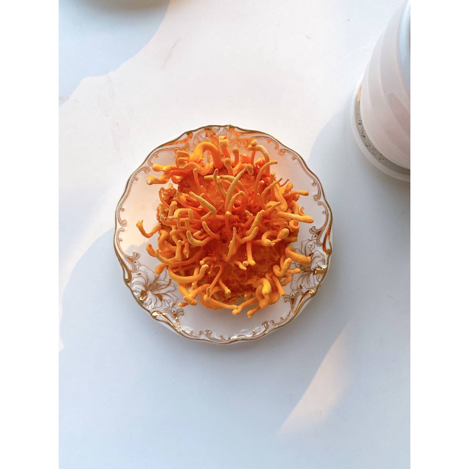 Đông trùng hạ thảo Mộc Hương Sơn loại thượng hạng 150gr