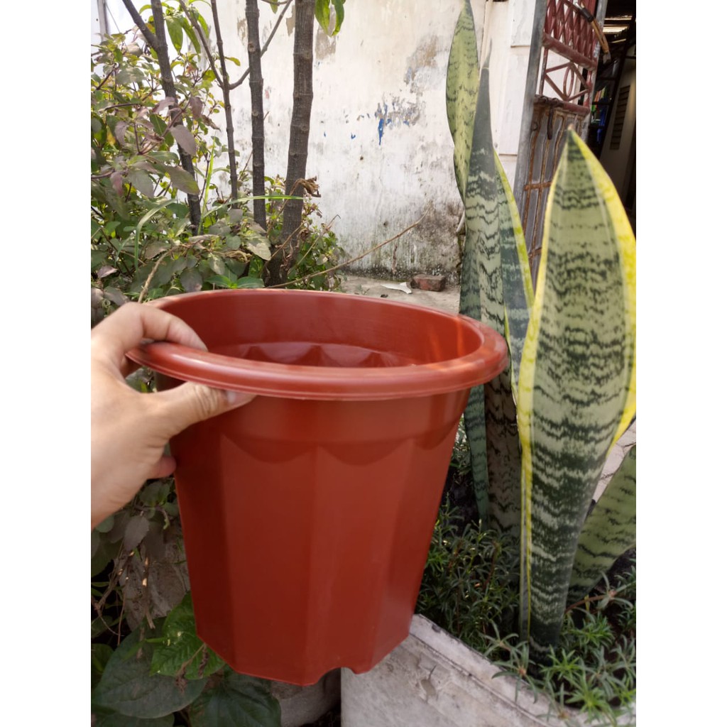 COMBO 10 CHẬU E330- 28*18*25CM