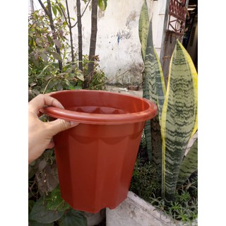 Combo 10 chậu e330- 2825cm