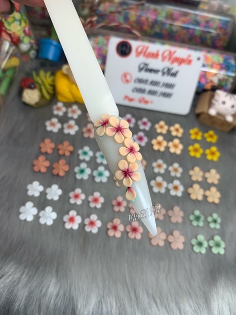 Hoa Bột 3D: Set 2 bông Hoa Mai trang trí móng nails
