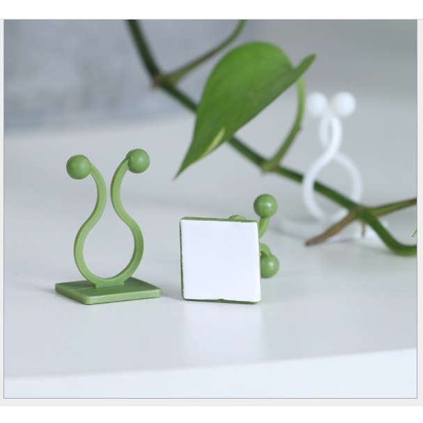 SET 10 kẹp cố định cây dây leo