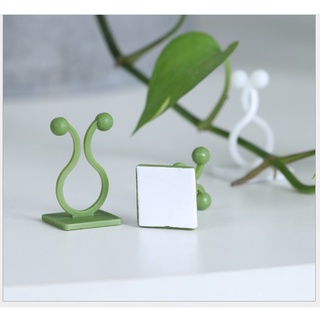 SET 10 kẹp cố định cây dây leo