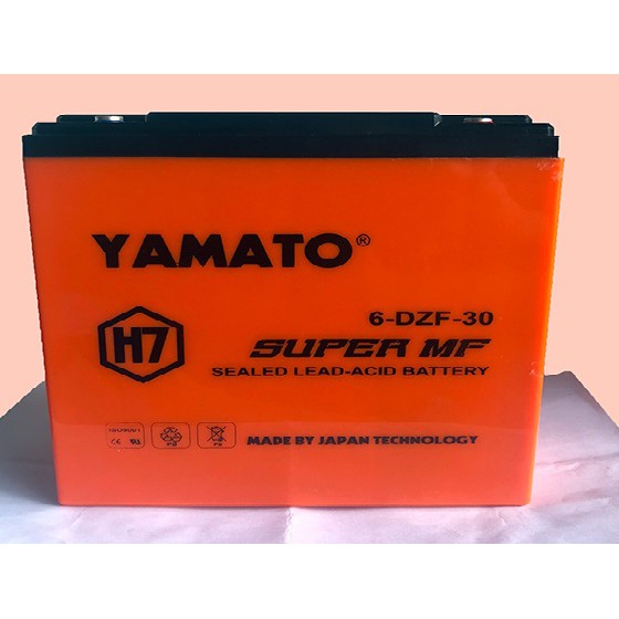 Ắc quy xe đạp điện Yamato 12V 30Ah, 6-DZF-30