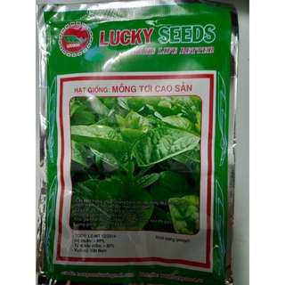 Hạt giống mồng tơi lá to 20 gr