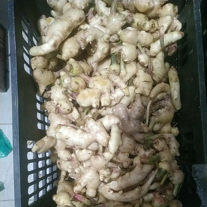 Gừng Tươi (1kg )