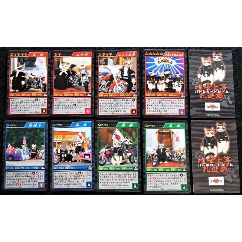 COD - CÓ SẴN PACK ẢNH SƯU TẦM MÈO RANDOM SIÊU CẤP ĐÁNG YÊU