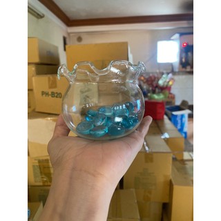 BỂ THUỶ TINH MINI NUOI CÁ, trồng cây thủy sinh để bàn- B8