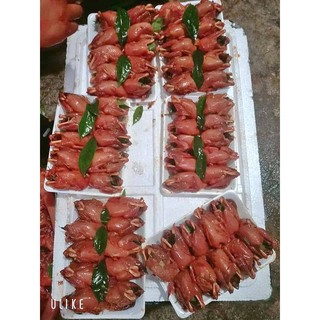 Máy Vặt Lông Chim F50