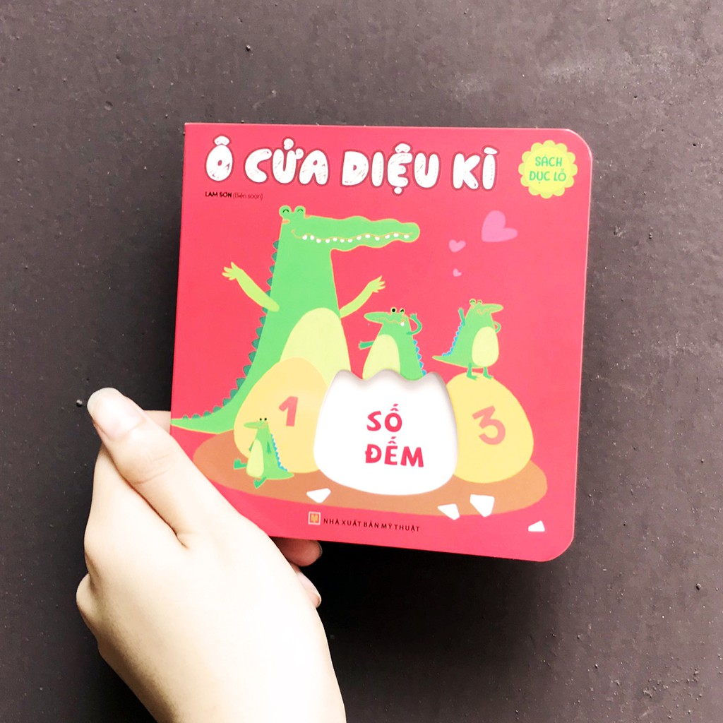 Sách Đục Lỗ: Ô Cửa Kì Diệu (Hộp)