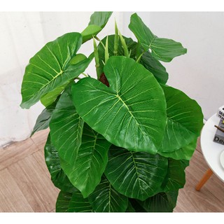 Cây Trầu Bà Giả Kèm Chậu