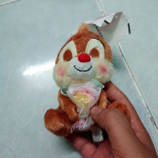 Gấu bông sóc bé vy 15